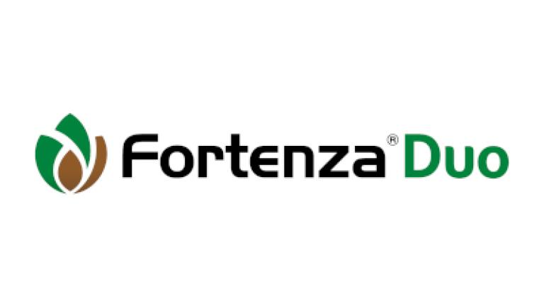 Fortenza Duo Logo